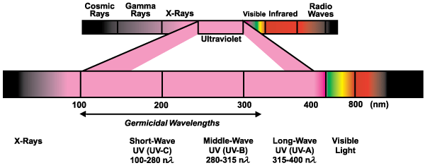 紫外線分類