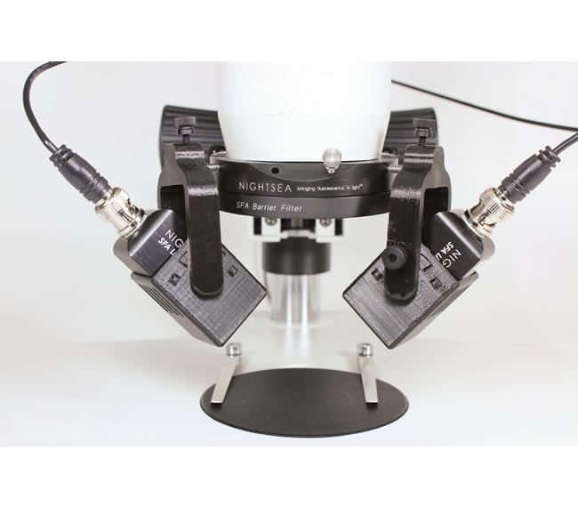 熒光適配器讓您的體視顯微鏡秒變熒光顯微鏡