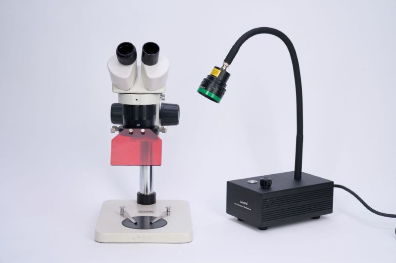 顯微鏡熒光蛋白激發光源如何選購？